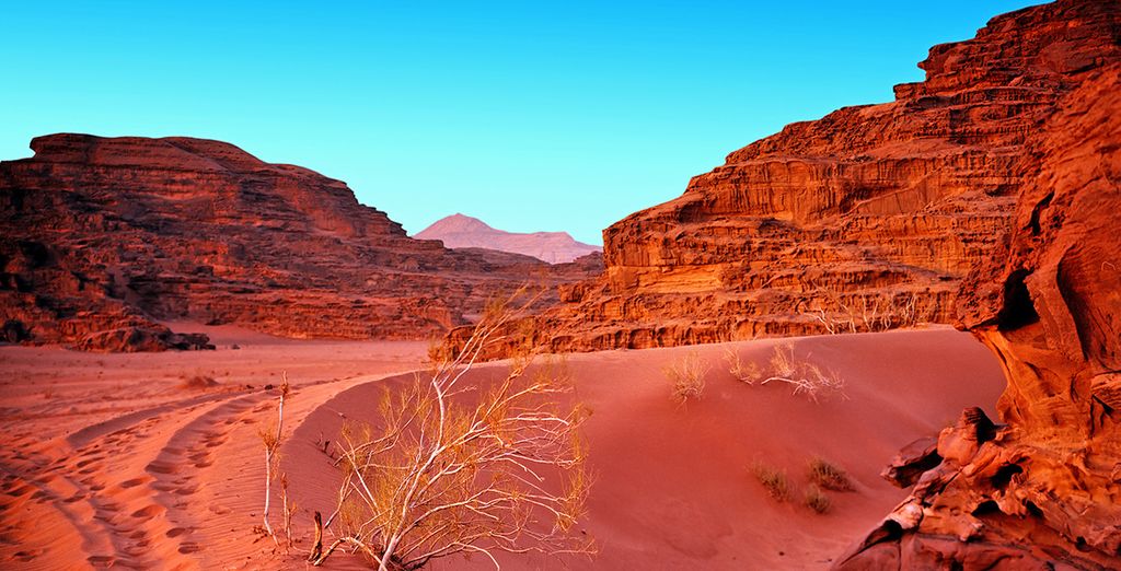 Petra, Wadi Rum in campo tendato e Mar Morto con guida parlante italiano