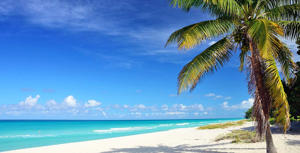 L'Avana in Casa Particular Superior + Sol Varadero Beach 4* - Adults Only