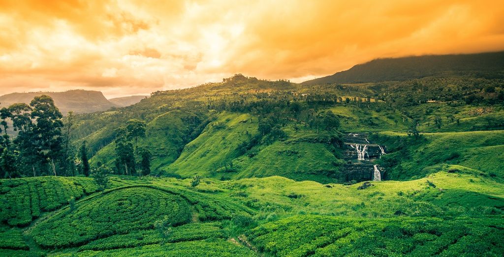 Tour privato Sri Lanka + Amaya Beach Resort & Spa 5*