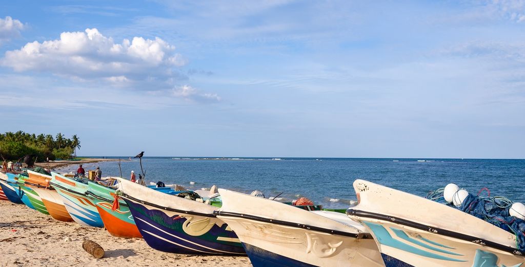 Tour privato Sri Lanka + Amaya Beach Resort & Spa 5*
