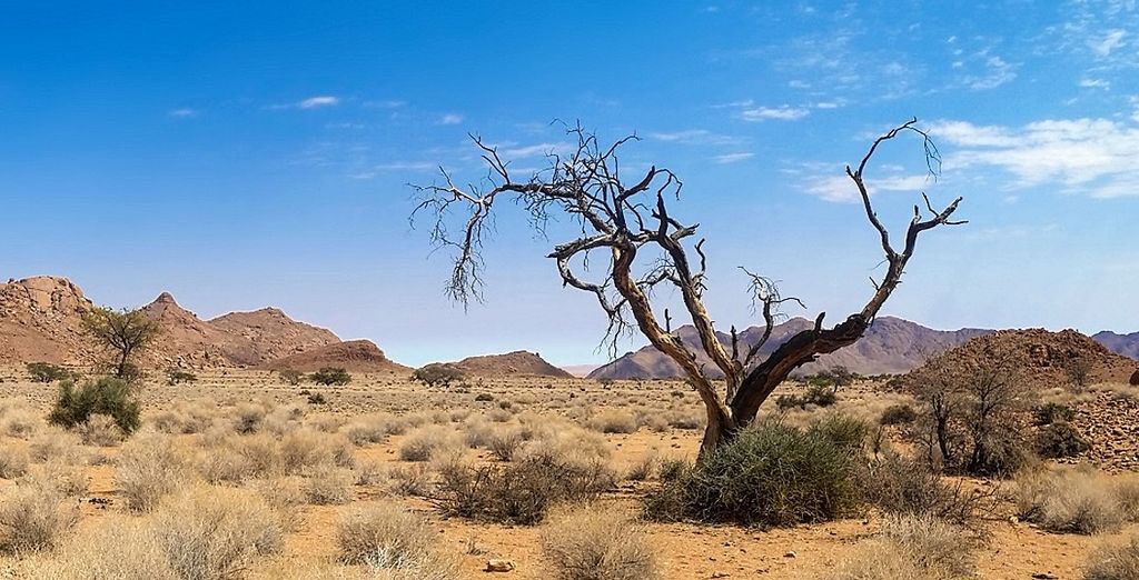 Tour Namibia Adventure