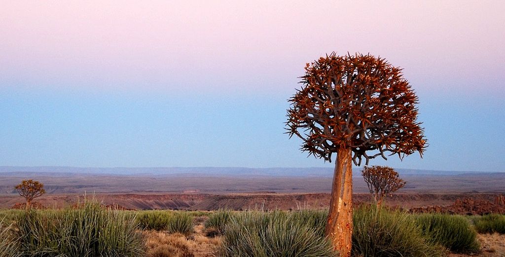 Tour Namibia Adventure