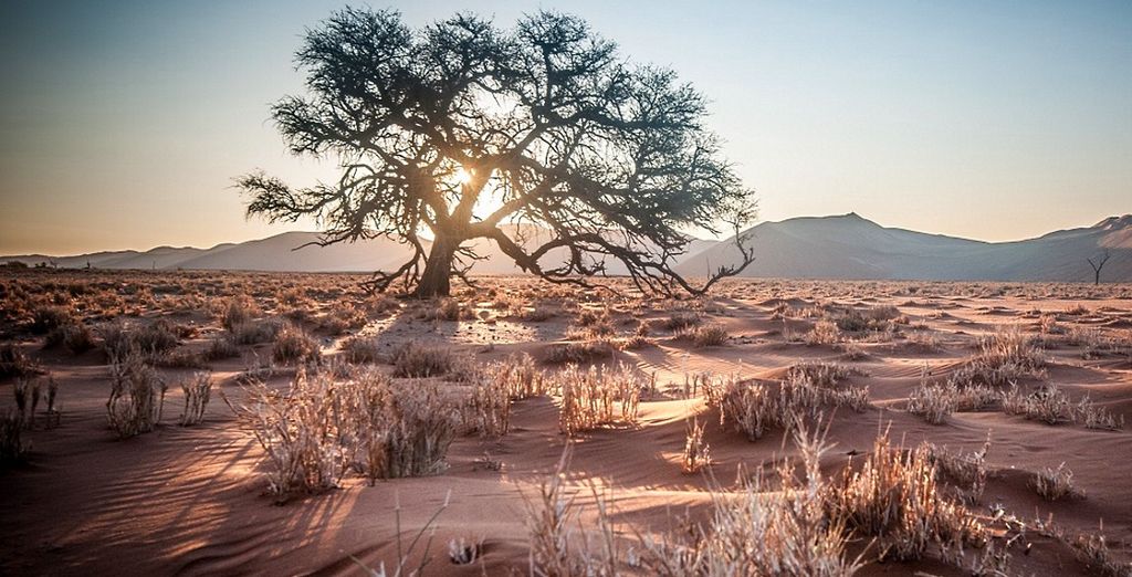 Tour Namibia Adventure