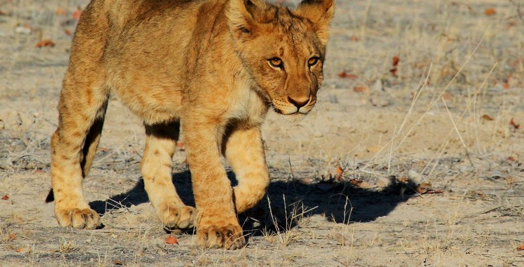 Tour Namibia Adventure