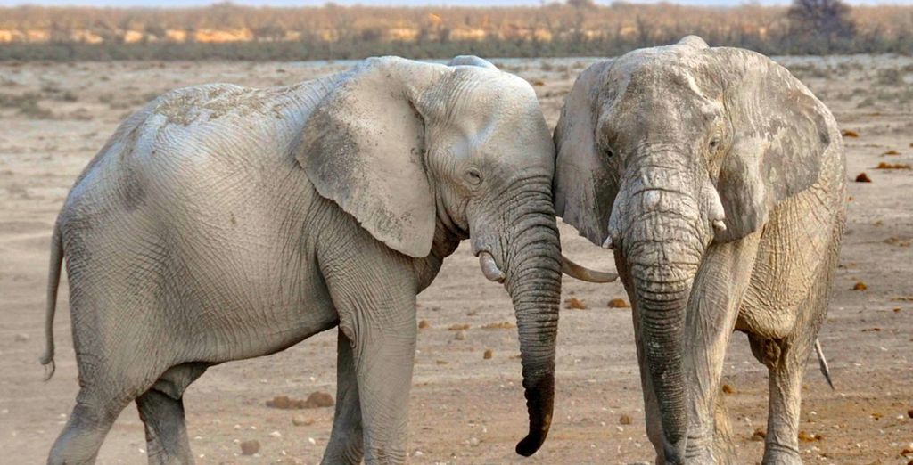 Tour Namibia Adventure