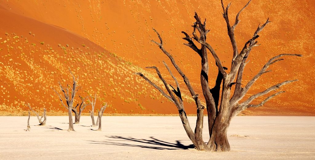 Tour Namibia Adventure