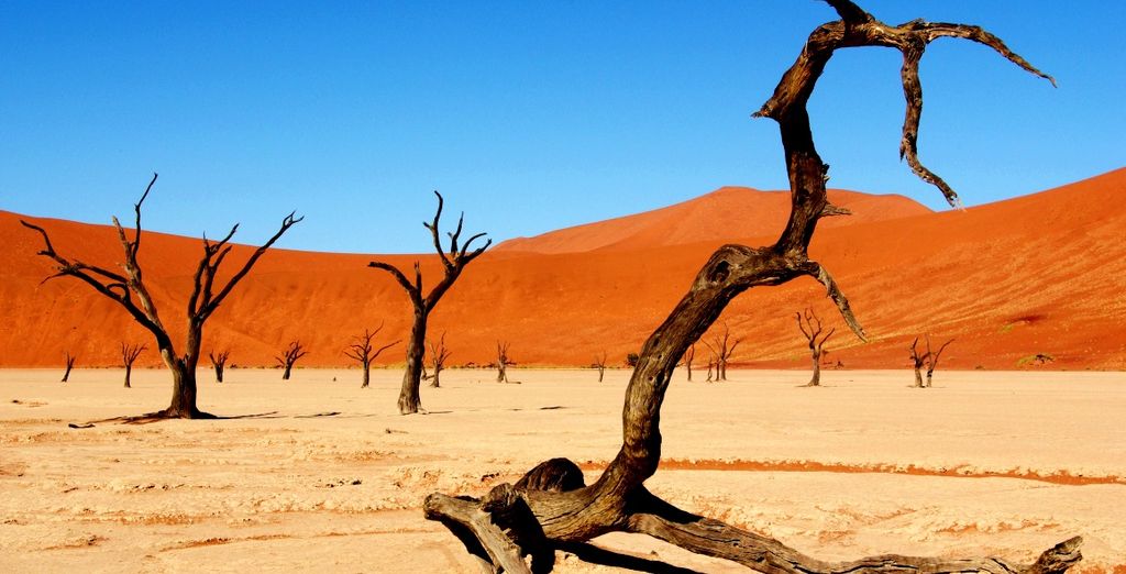 Tour Namibia Adventure