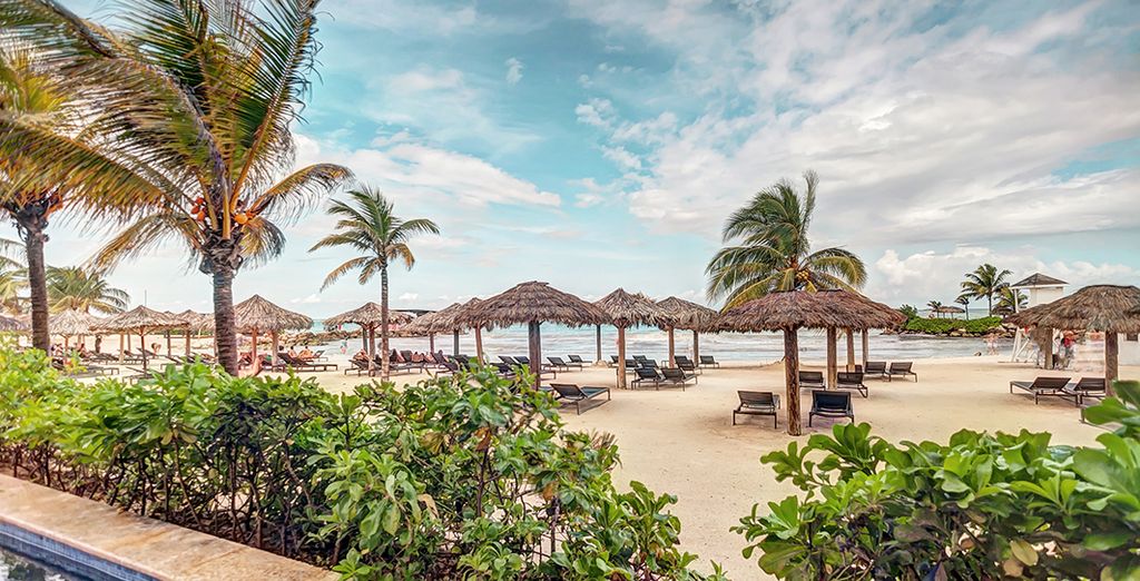 The Confidante Miami Beach 4*+ Royalton White Sands 5*