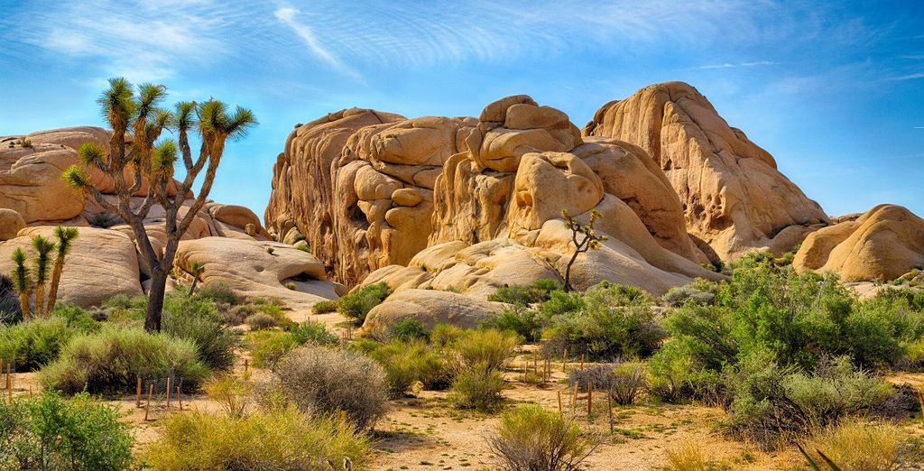 Sull'asfalto della Route 66 con noleggio auto incluso
