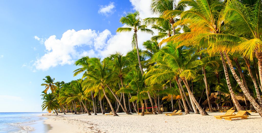 Hotel Iberostar Punta Cana 5*