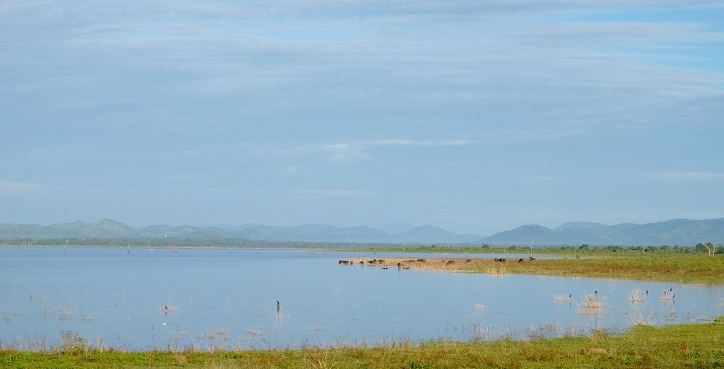 Tour privato dello Sri Lanka con estensione a Wadduwa