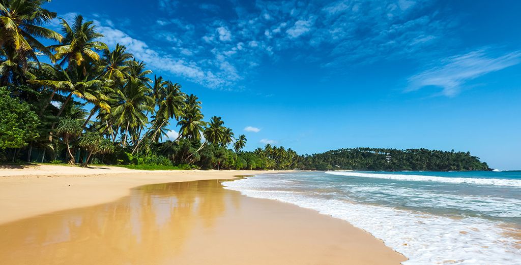 Tour privato dello Sri Lanka con estensione a Wadduwa