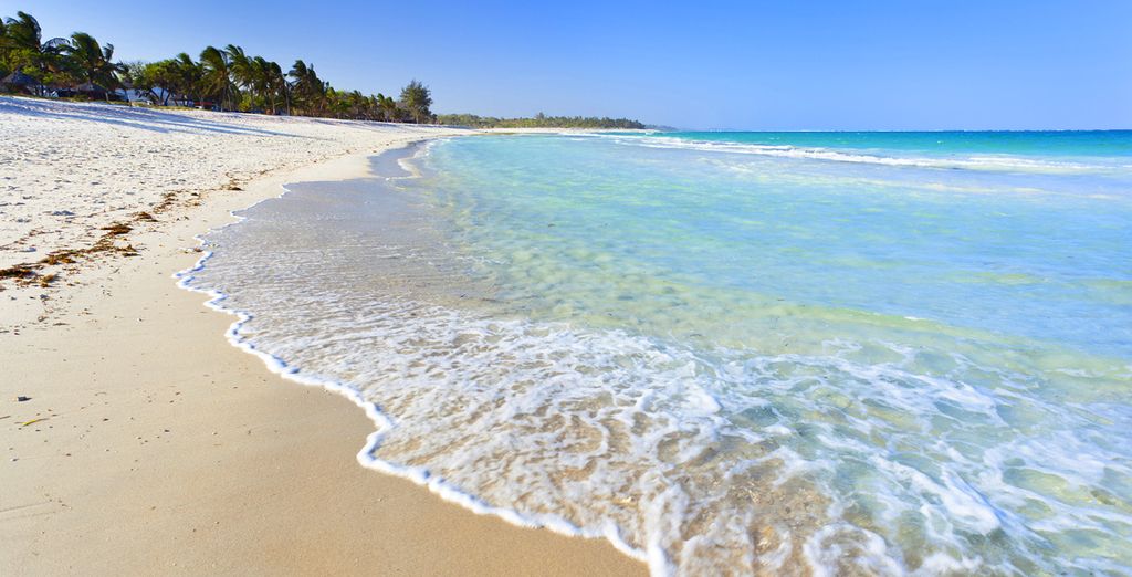 Pinewood Beach Resort and Spa 4* + Safari