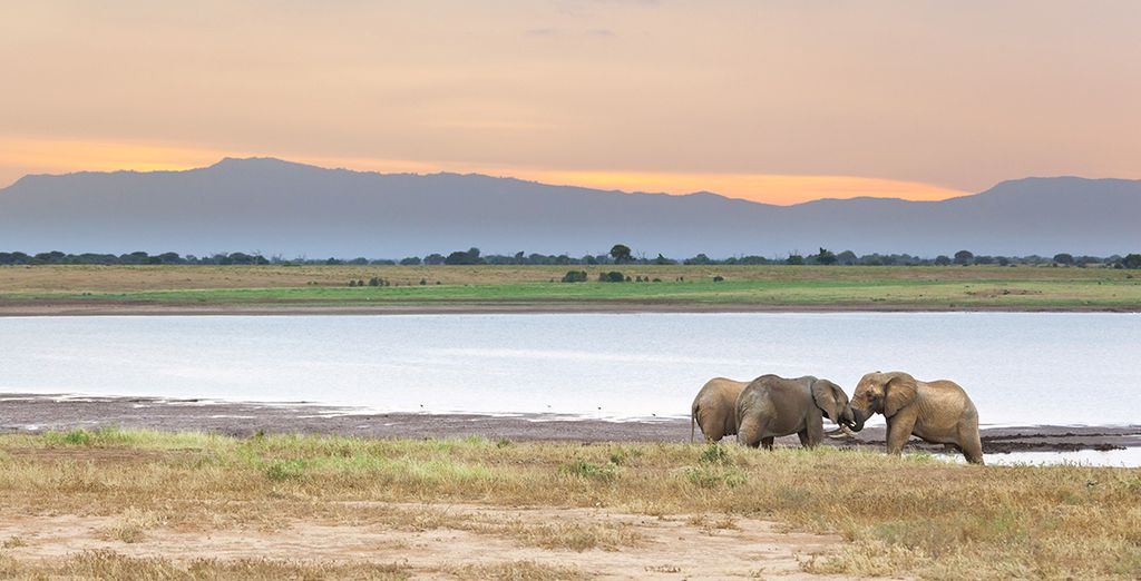 Pinewood Beach Resort and Spa 4* + Safari