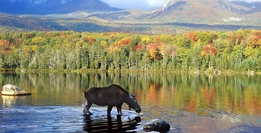 Tour del Canada Orientale