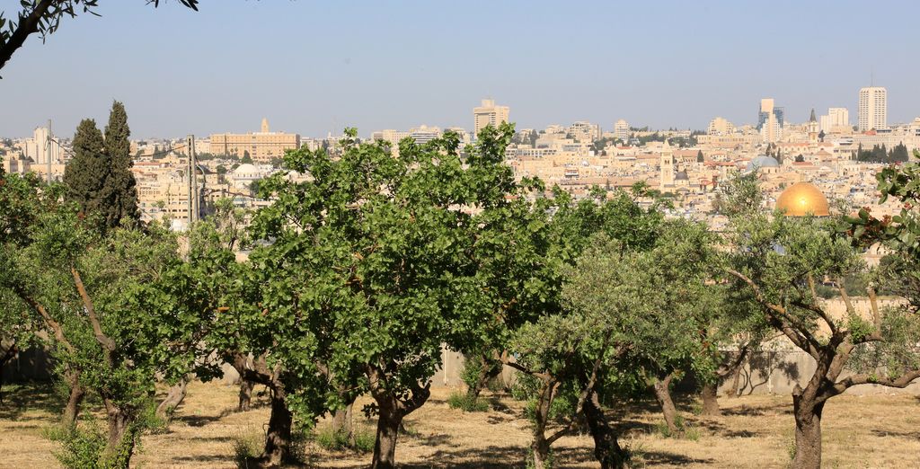 Minitour Mar Morto e Gerusalemme Express in 4*