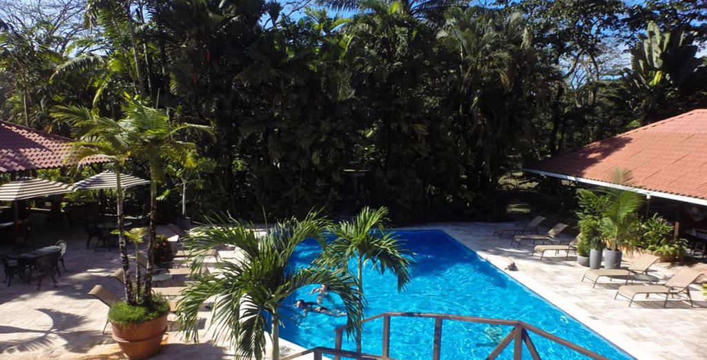 7 o 10 notti da San José a Manuel Antonio in libertà