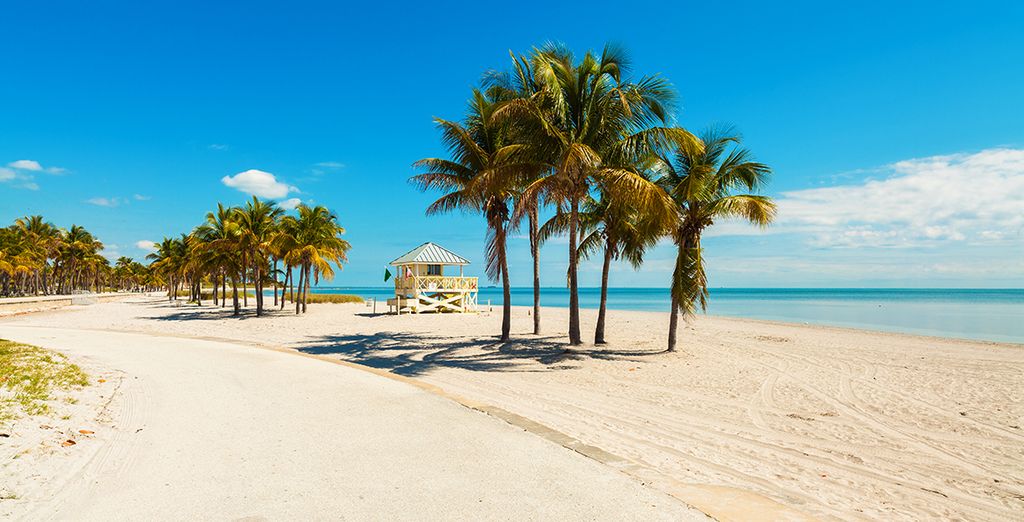 The Guild Miami Downtown 4* e crociera alle Bahamas