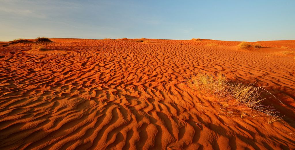 Tour dell'Oman e mare a Mussanah con guida parlante italiano