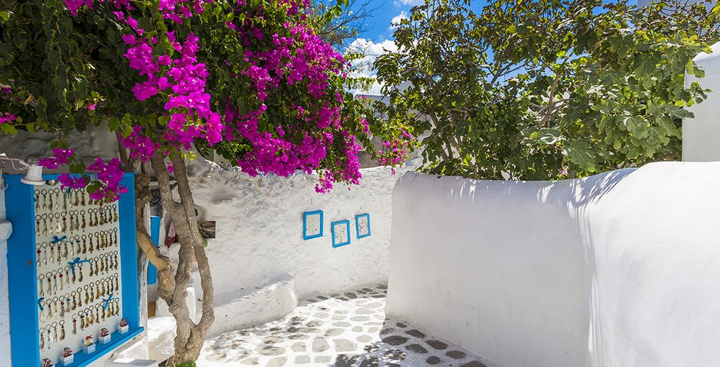 Tour delle Cicladi con possibile estensione a Paros