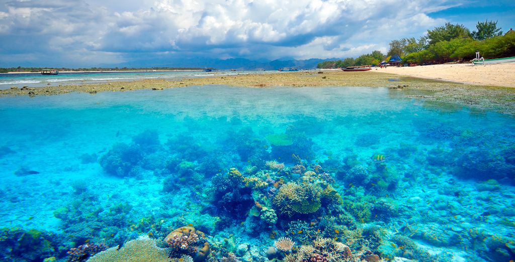 Tanadewa Resort & Spa 5* + Anema Wellness & Resort Gili Lombok 5* + Mövenpick Resort & Spa Jimbaran Bali 5*