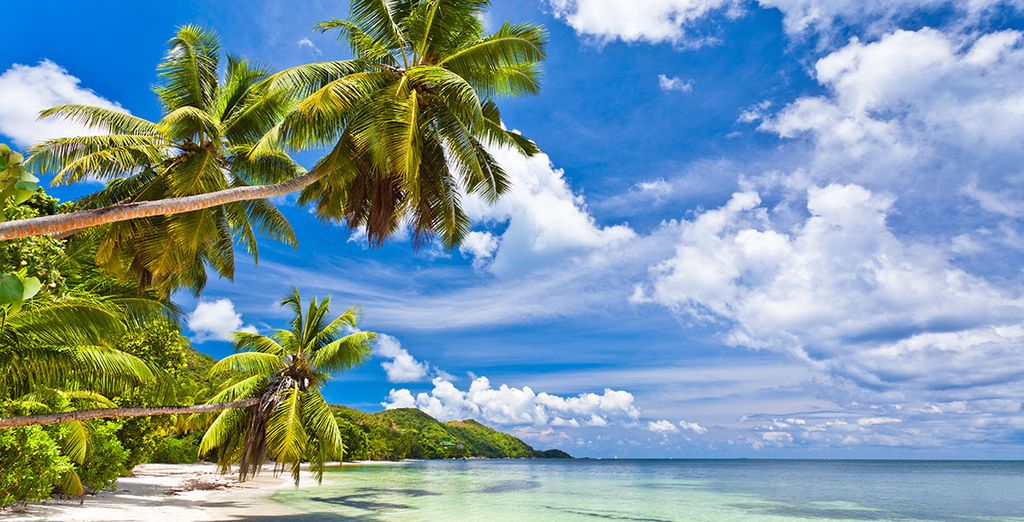 Enchanted Island Resort 5*
