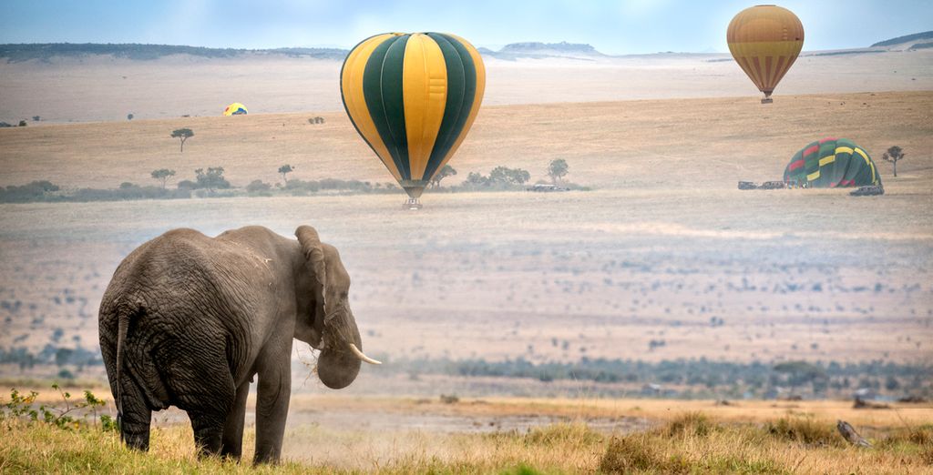 Leopard Beach Resort & Spa 4* e Safari