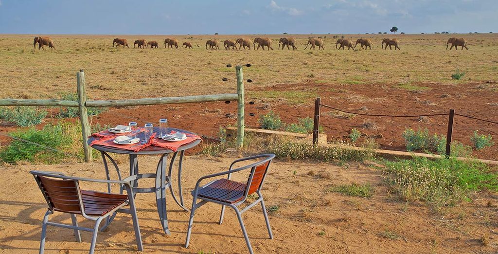 Leopard Beach Resort & Spa 4* e Safari