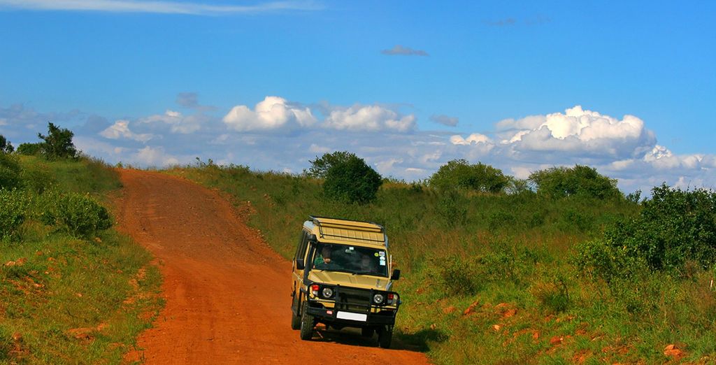 Leopard Beach Resort & Spa 4* e Safari