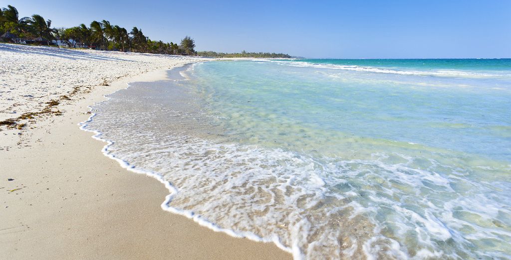 Leopard Beach Resort & Spa 4* e Safari