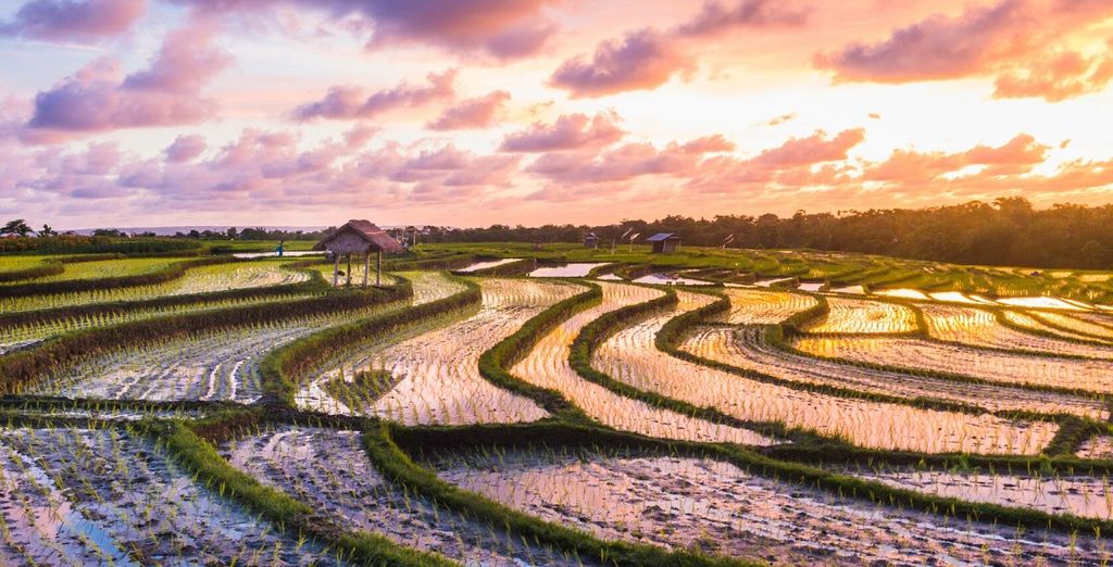 The Mansion Baliwood Resort Hotel & SPA 5* & Novotel Bali Nusa Dua 5*