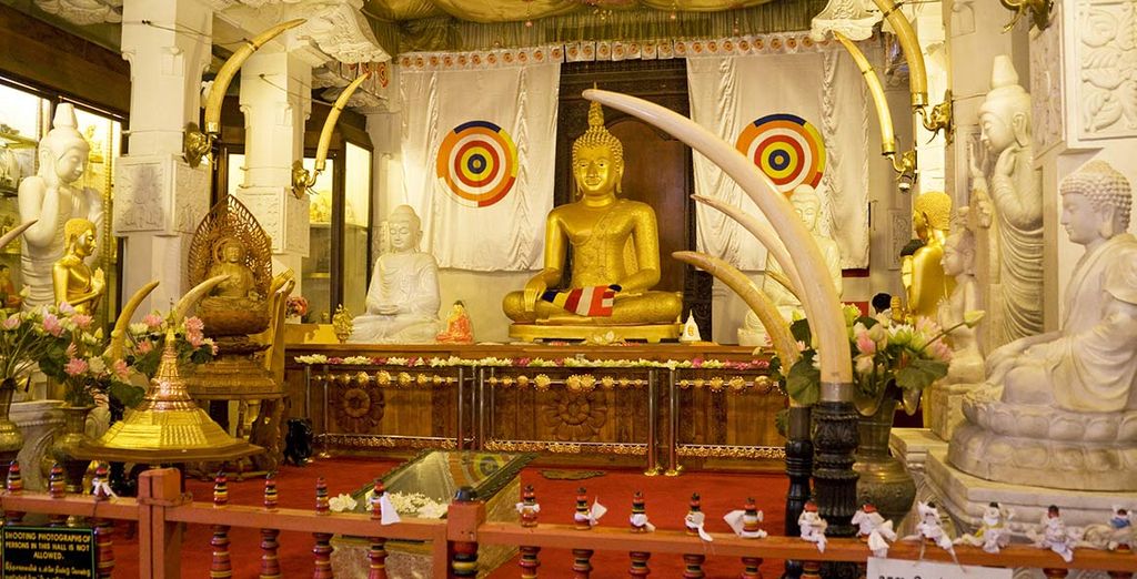 Tour Privato dello Sri Lanka