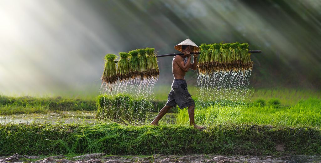 Tour Privato in Cambogia con possibile estensione in Vietnam