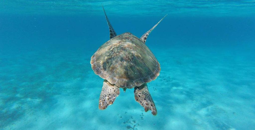 I luoghi imperdibili del Mar dei Caraibi in crociera