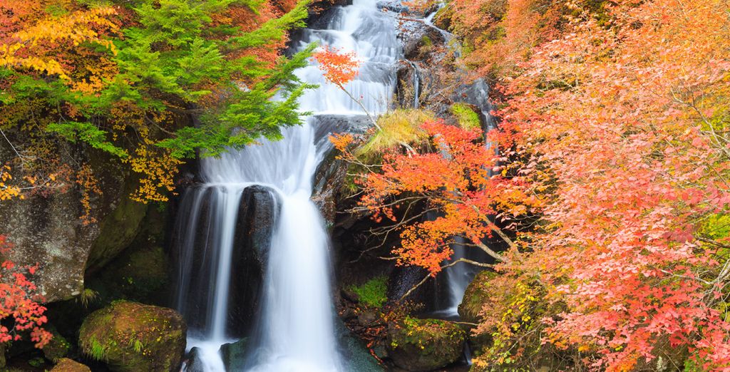 Tour di Tokyo e dei suoi dintorni