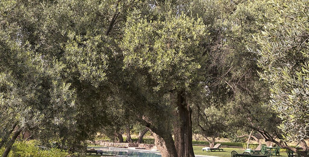 Riad Ysalis & Berber Lodge, da Marrakech alla Valle dell'Ourika