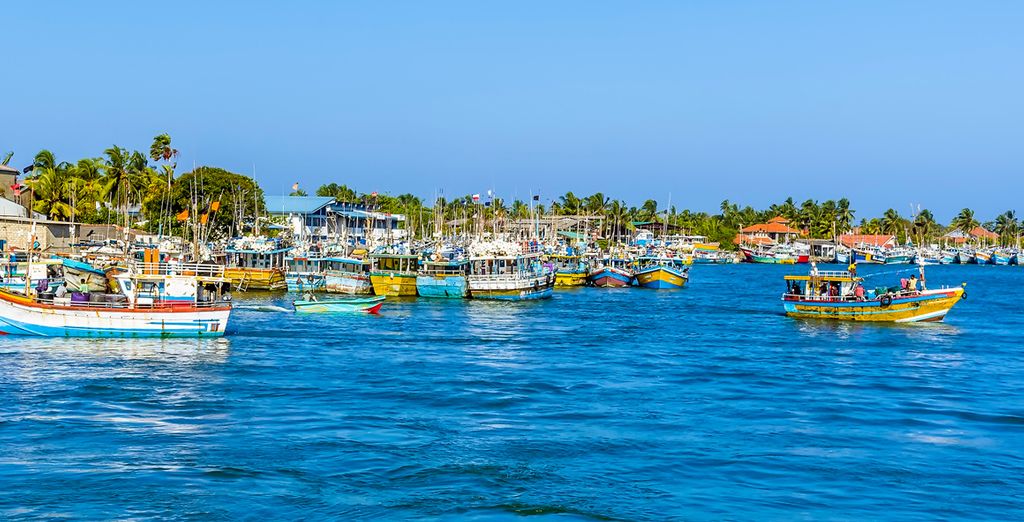 Tour dello Sri Lanka tra parchi naturali e città