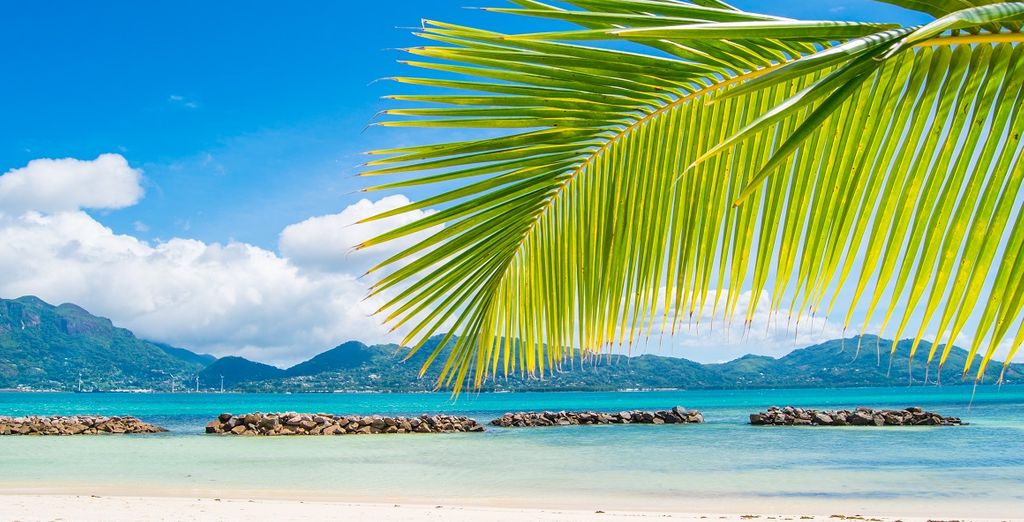 Crociera in catamarano alle Seychelles con possibile estensione a Dubai