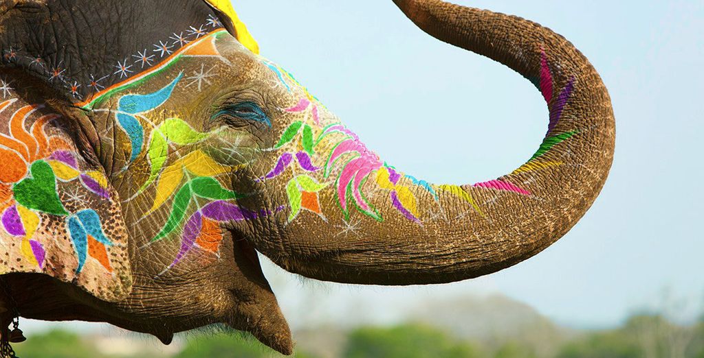 Speciale Holi Festival