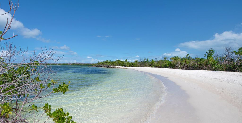 Iberostar Grand Hotel Packard L'Avana 5* + Hotel Angsana Cayo Santa Maria 5*