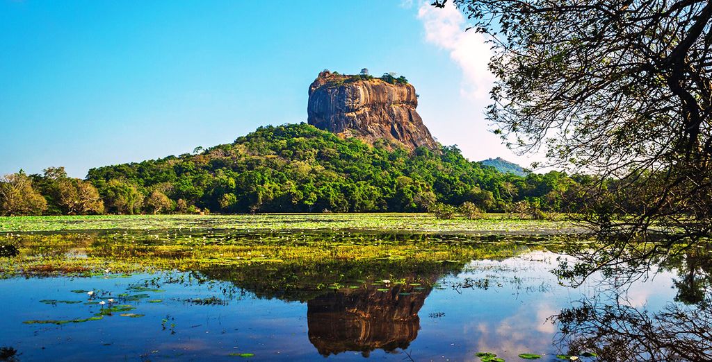 Tour completo dello Sri Lanka con mini safari - 7 notti in Hotel 4 e 5*