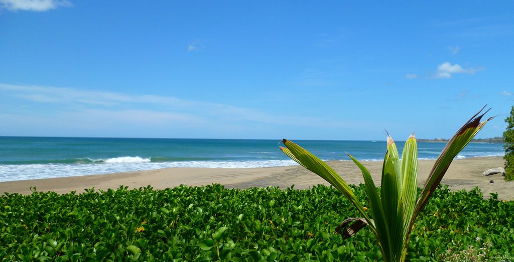 Tour privato di Panama 7 o 10 notti