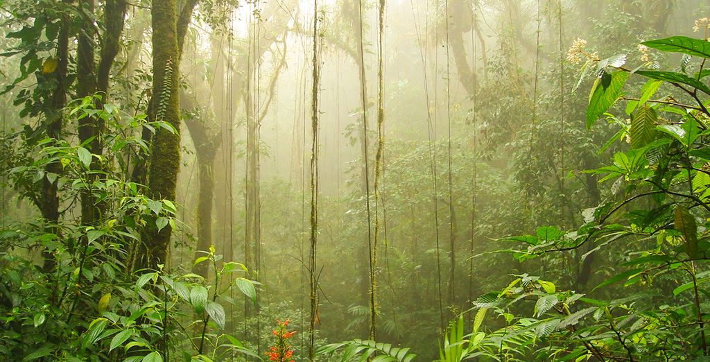 Tour 10 o 12 notti in Costa Rica + Nicaragua con noleggio auto 