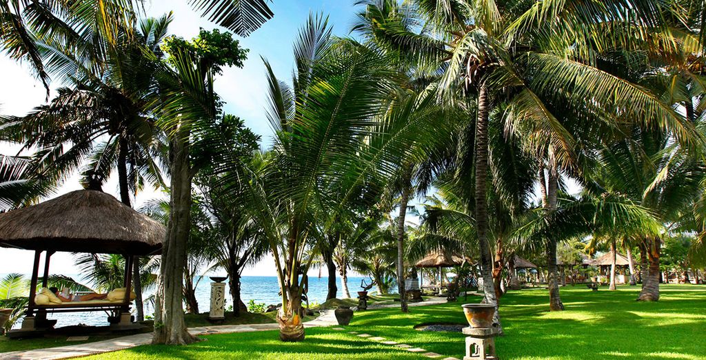 Combinato le perle di Bali: Candidasa, Pelaga, Lovina e soggiorno mare a Uluwatu