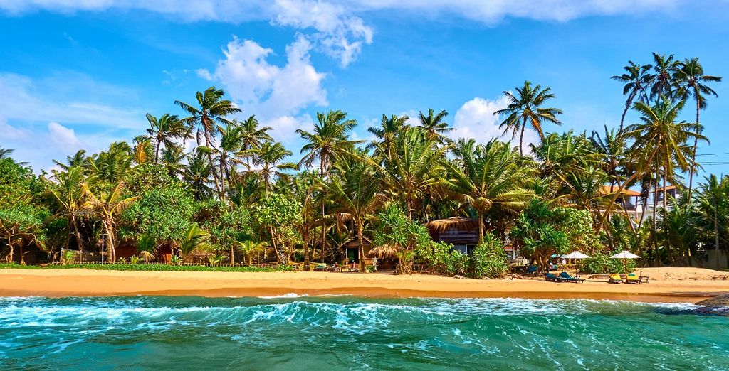 Tour Sri Lanka in hotel 4* + Avani Bentota Resort 5* 