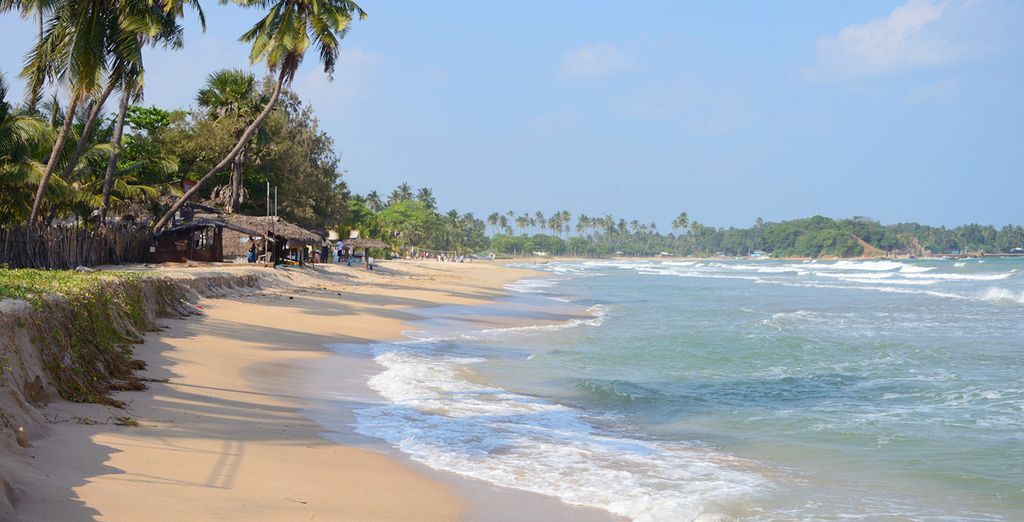 Tour Sri Lanka + Safari