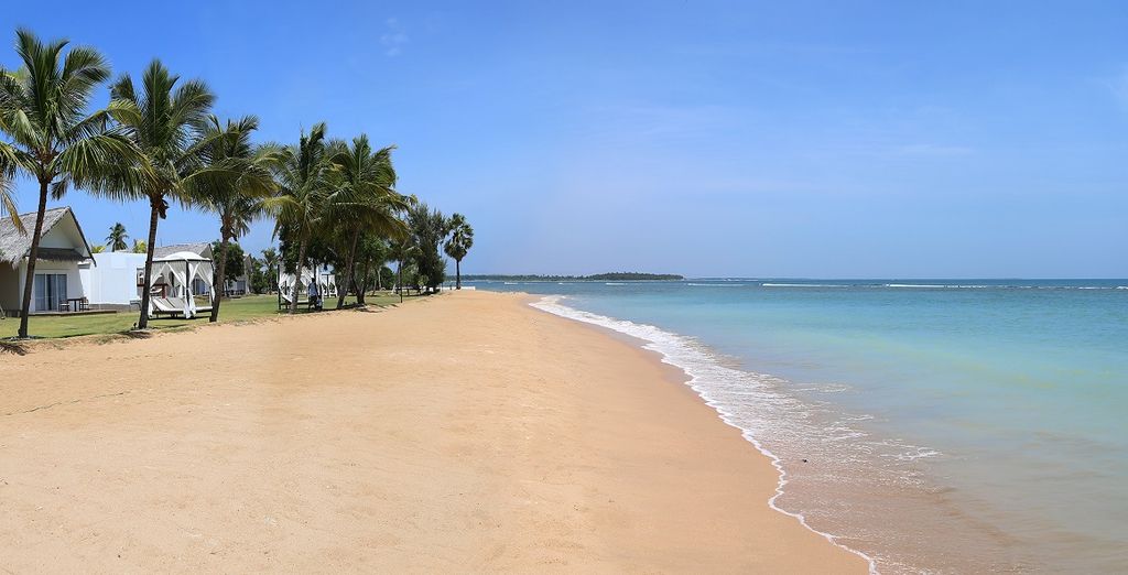 Tour alla scoperta dello Sri Lanka: da Colombo alla costa est