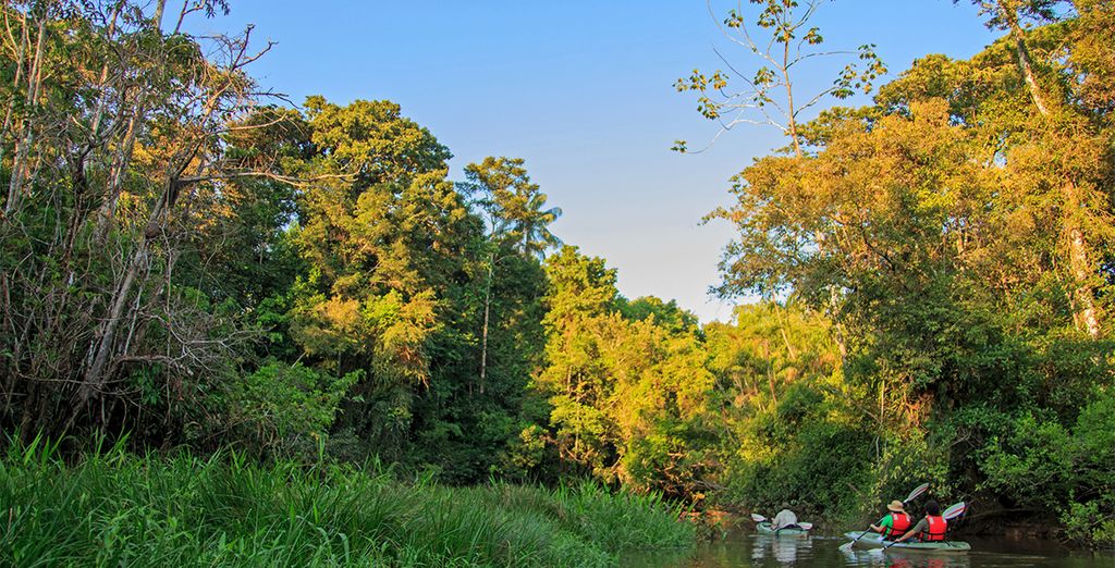 Crociera dell'Amazzonia ecuadoriana con estensione a Quito e Cotopaxi