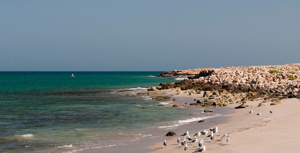 Tour dell'Oman con guida locale parlante italiano