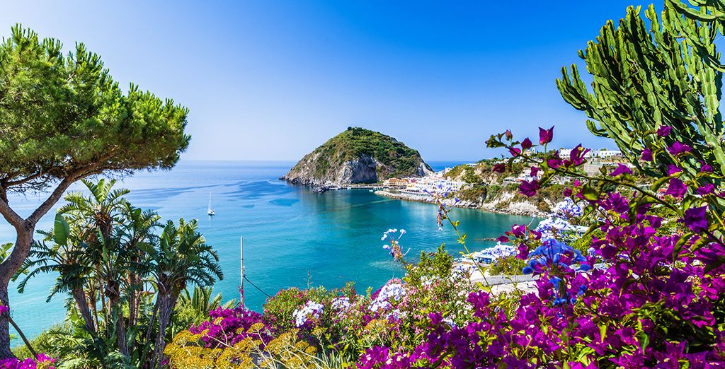 Tour e minitour le perle del Golfo